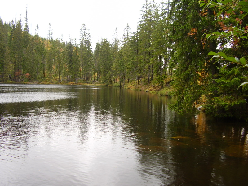 P9100037.jpg