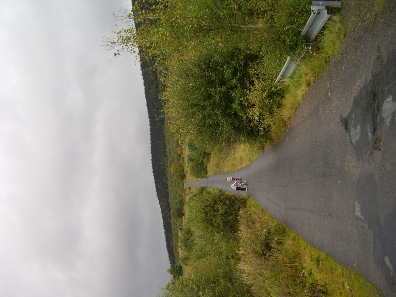 P9100042.jpg