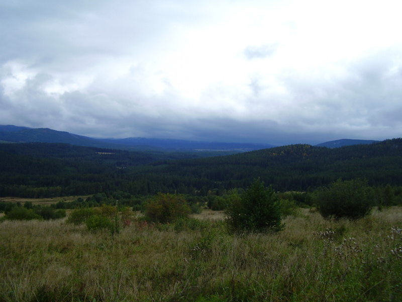 P9100046.jpg