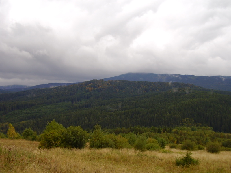 P9100049.jpg