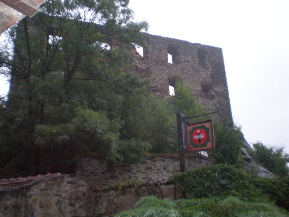 P7240507.jpg